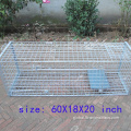 Cage Traps For Large Pest Animals Humane Hunting Live Animal Cage Traps Supplier